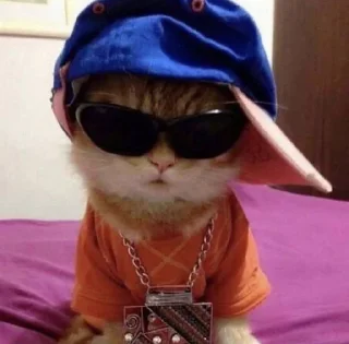 😎
