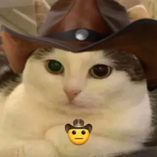🤠
