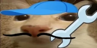 🧢