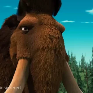😒