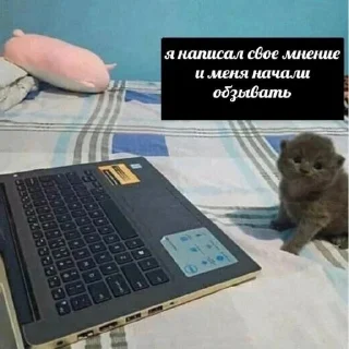 😿