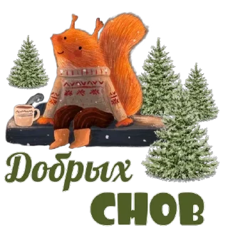 😴