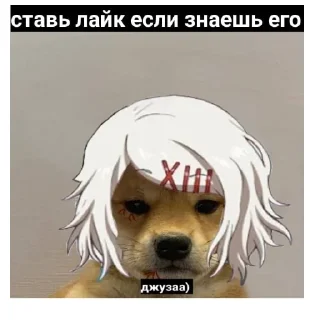 🐶