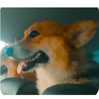 👍
