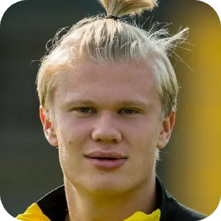 Erling Haaland • @Earth928B