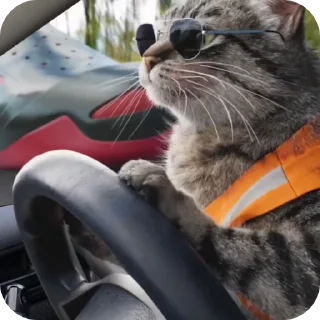 😎