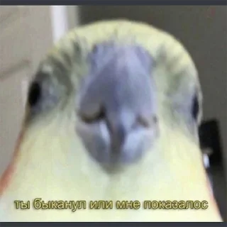 🤨