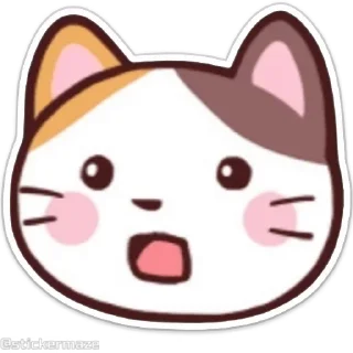 😲