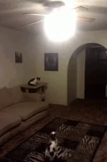 👋