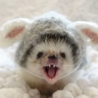 😀