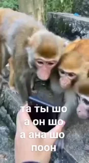 📱