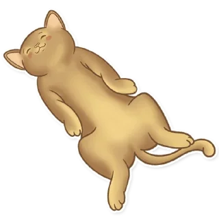 😴