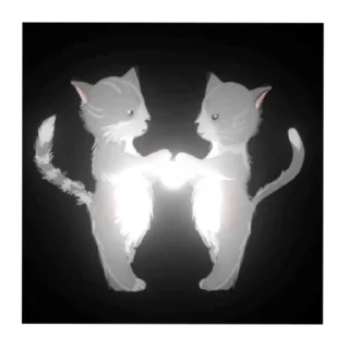 🐱