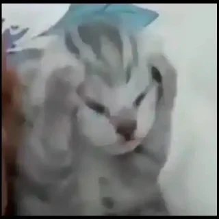 🤍