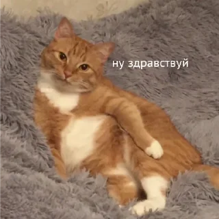 👋