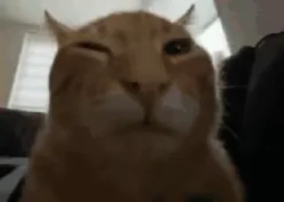 😮