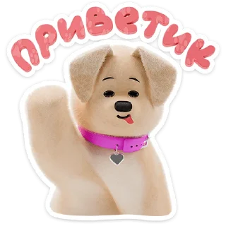 🐶