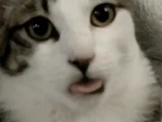 😛