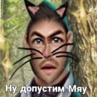 😻