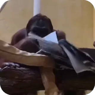 🤓
