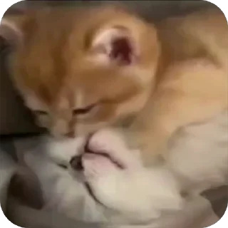 🥰