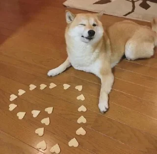 💛