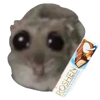 🍫