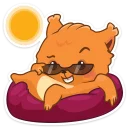 😎