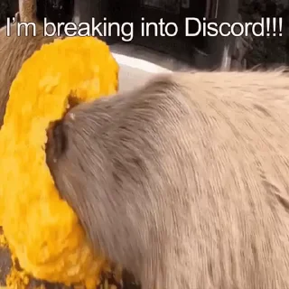 😚