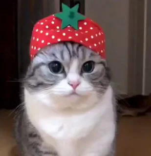 🍓