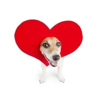 ❤️