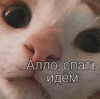 😴