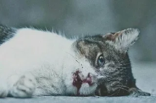☹️