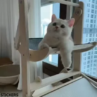 🥹