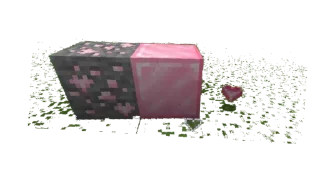 💗