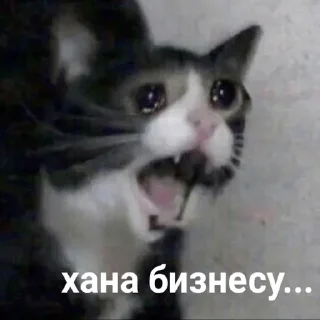 😭
