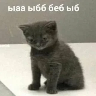 😣