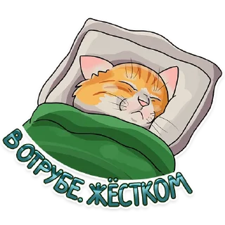 😴