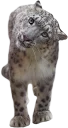😸