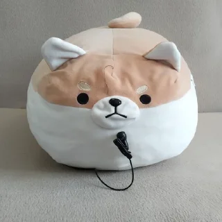 🎤