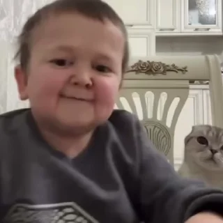 🐱