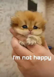 ☹️