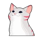 😼