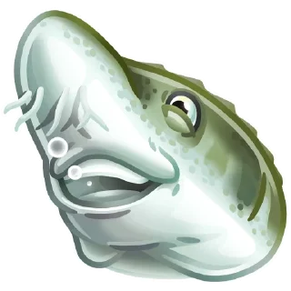 🐟