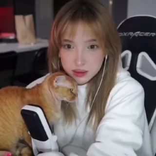 😺