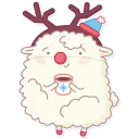 Cute Sheep