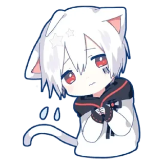 😿