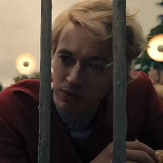 ❄