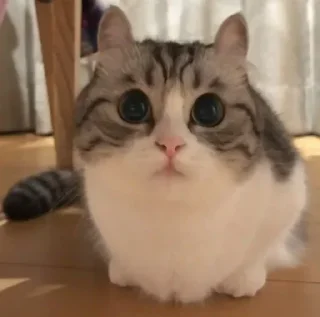 🥳