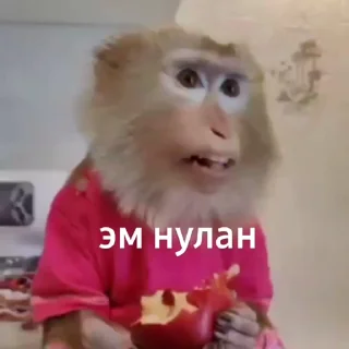🌟
